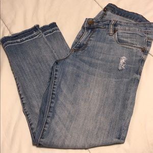 Cut From the Kloth Distressed Jean Capri Pants